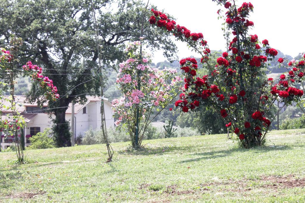 Agriturismo Nociquerceto Villa Tarano ภายนอก รูปภาพ